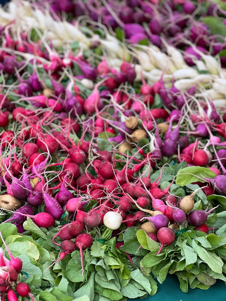 radish