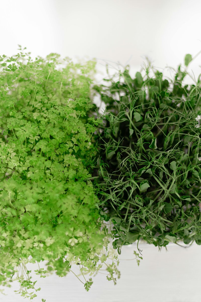 Seasonal Greens Mix