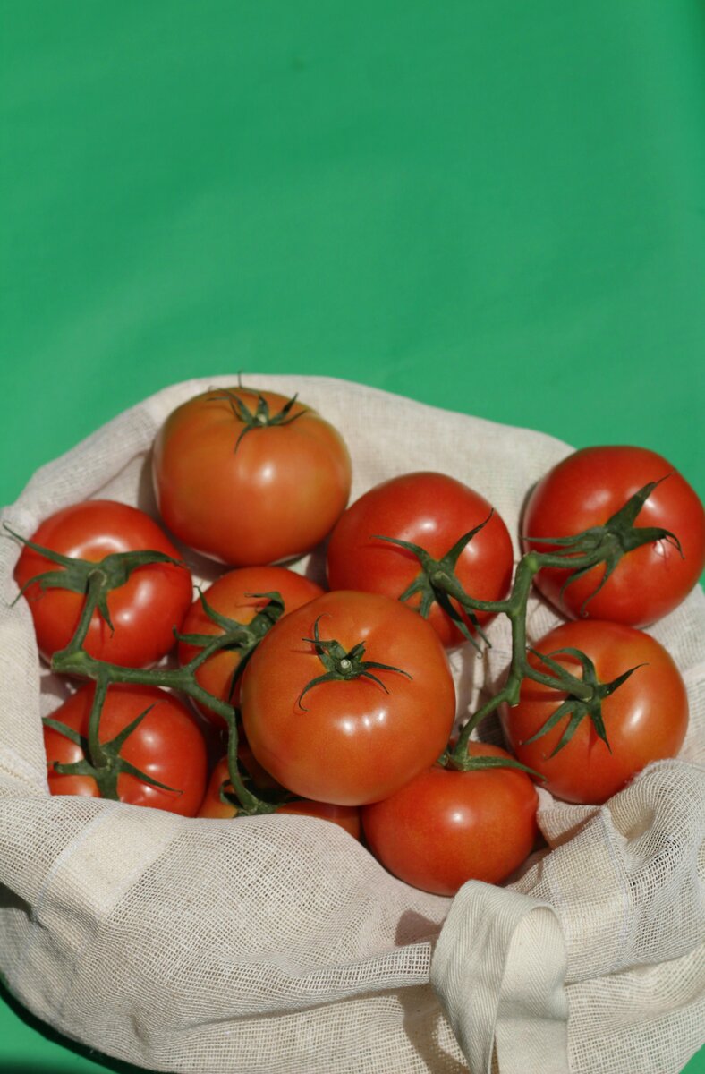 Tomato Bundle