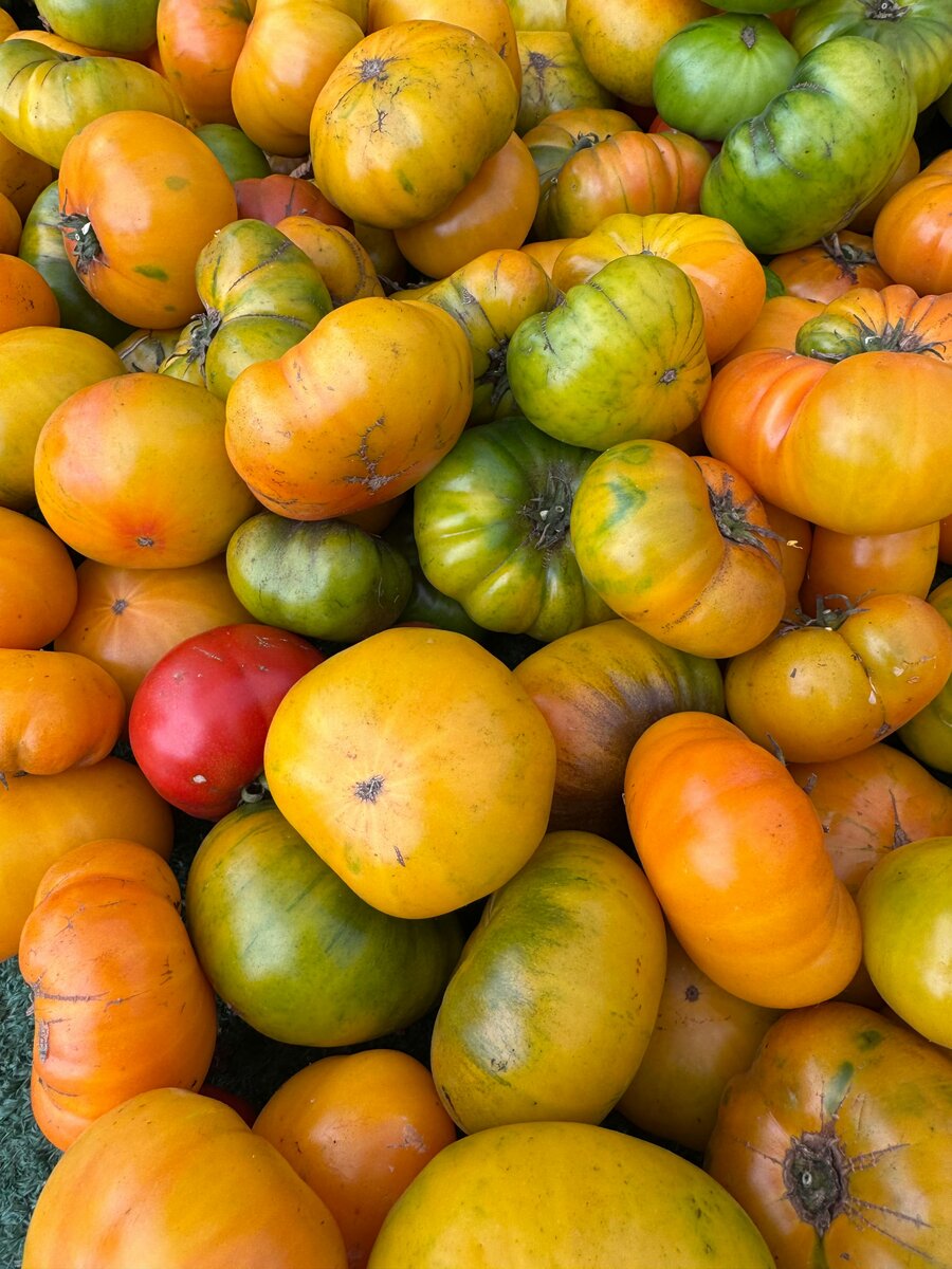 Heirloom Tomatoes