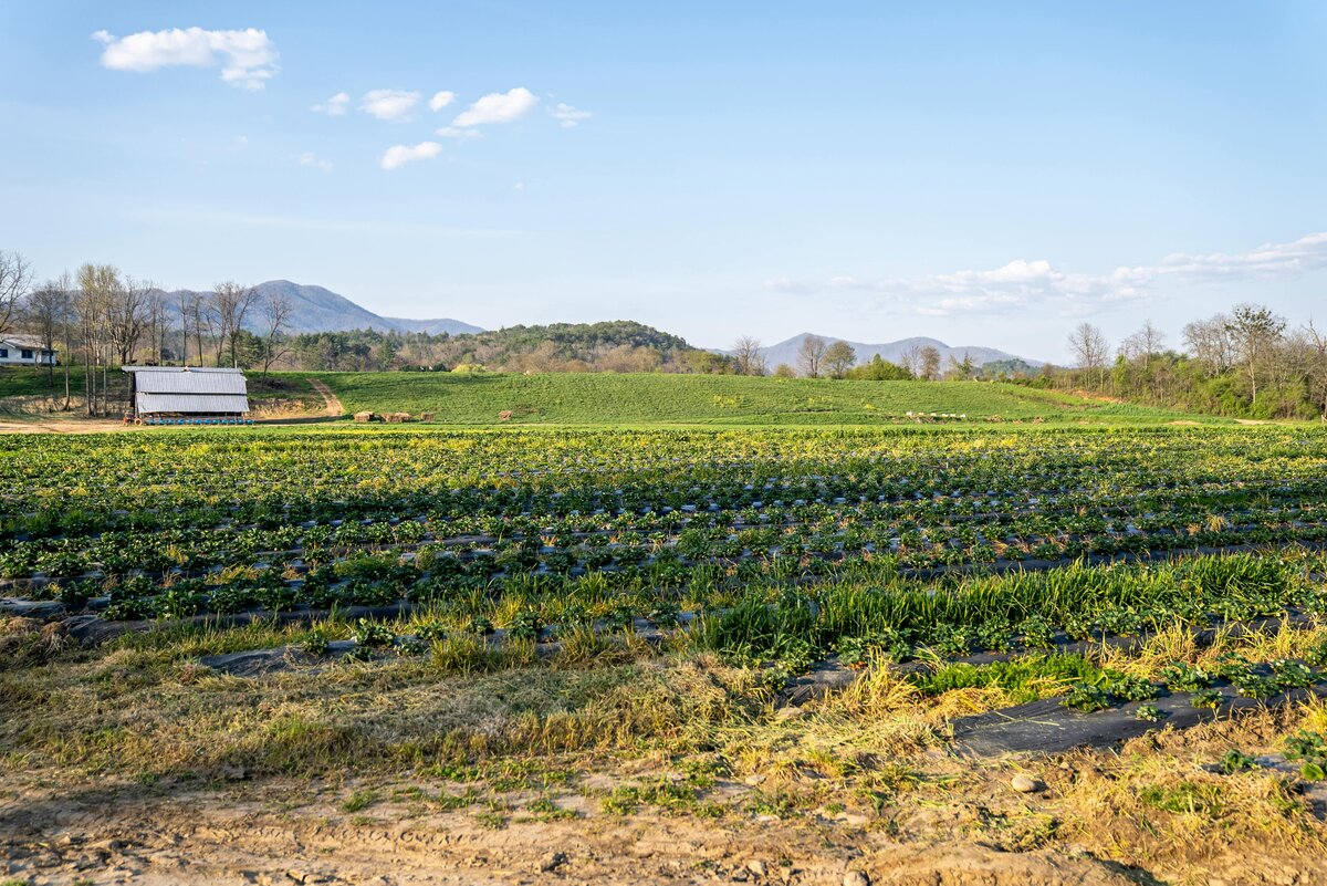 Heritage Valley Farms farm photo
